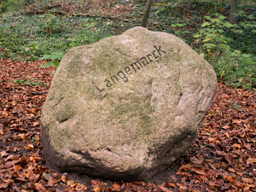 Der Langemarck Stein in Halle in Westfalen. Ein Findling, niedergelegt von der HJ im November 1934 im Stadtwald Teutoburger Wald
