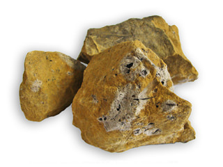 Kohle in Sandstein