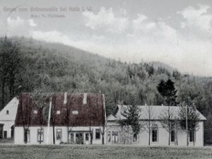 Ausflugslokal Gaststätte Grünenwalde um 1920. Postkarte. Leihgabe aus Privatbesitz.
