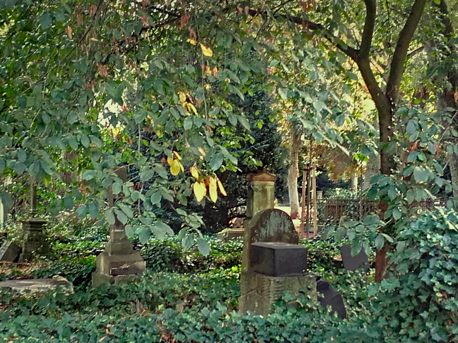 Historischer Friedhof in Halle/Westfalen. Foto: Haller ZeitRäume.