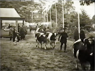 Film „Tierschaufest 1932“